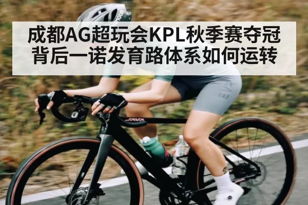 成都AG超玩会KPL秋季赛夺冠背后一诺发育路体系如何运转 | leyu